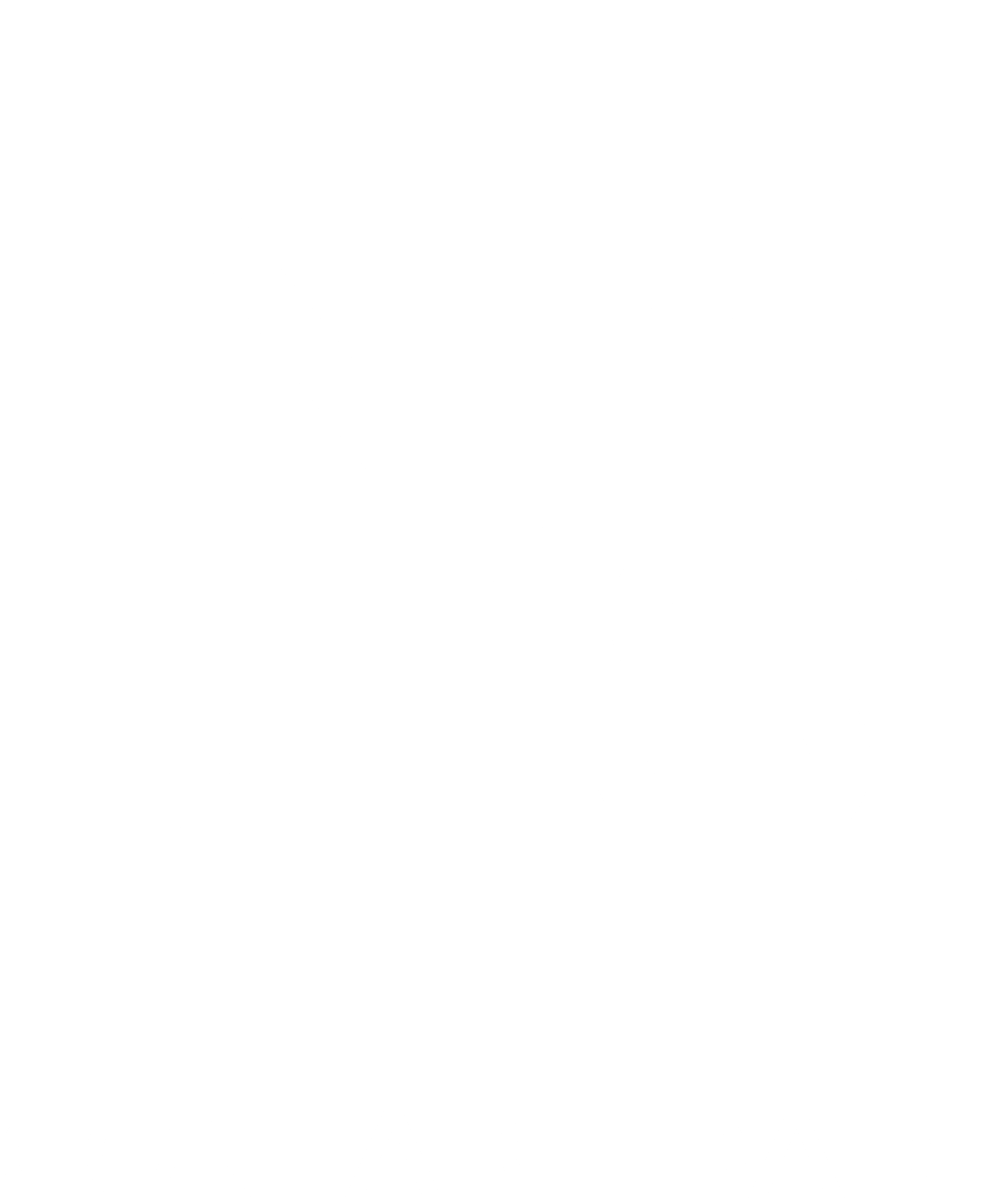 Ns Contabilidade