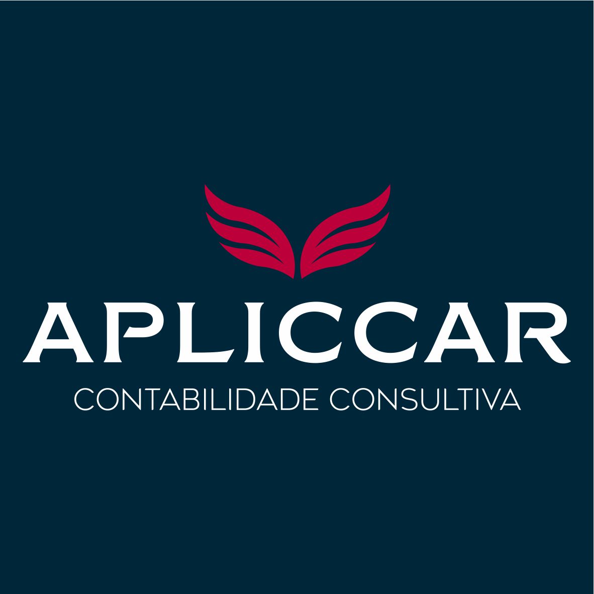 Apliccar Contabilidade