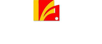 Franchetti & Borges Contábil