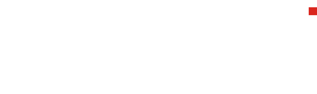 Ana Maria Borghetti