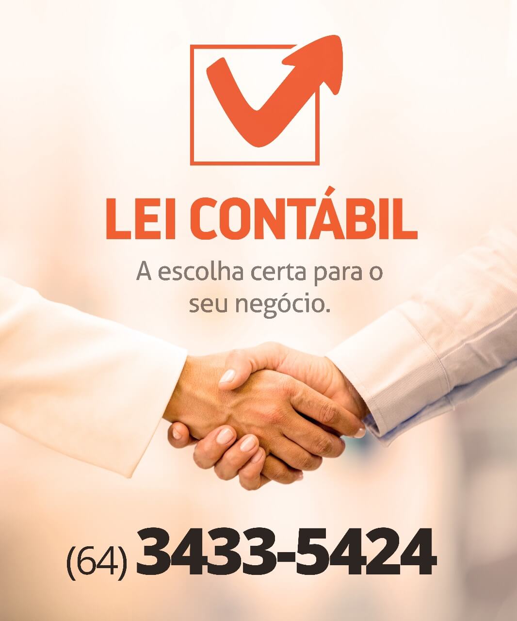 Lei Contábil