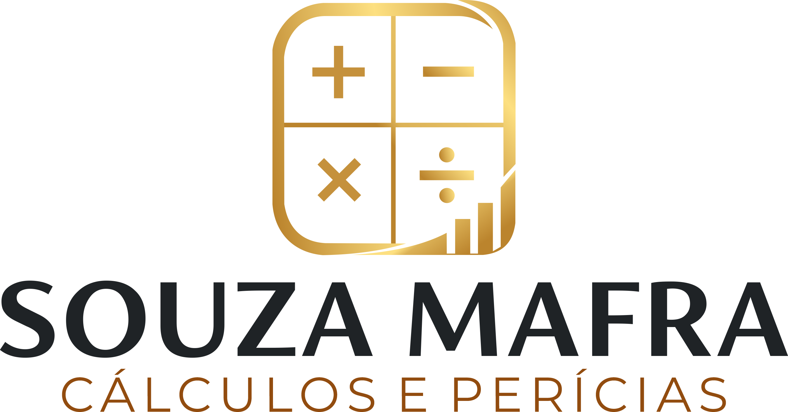 Souza e Mafra Consultoria