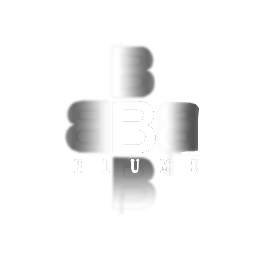 Blume Consultoria e Serviços Contabilidade