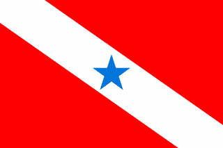 bandeira Pará